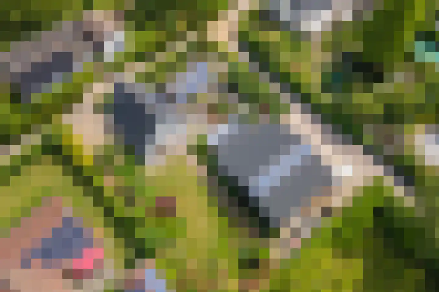 Hoogkana 28 Ingen foto 2
