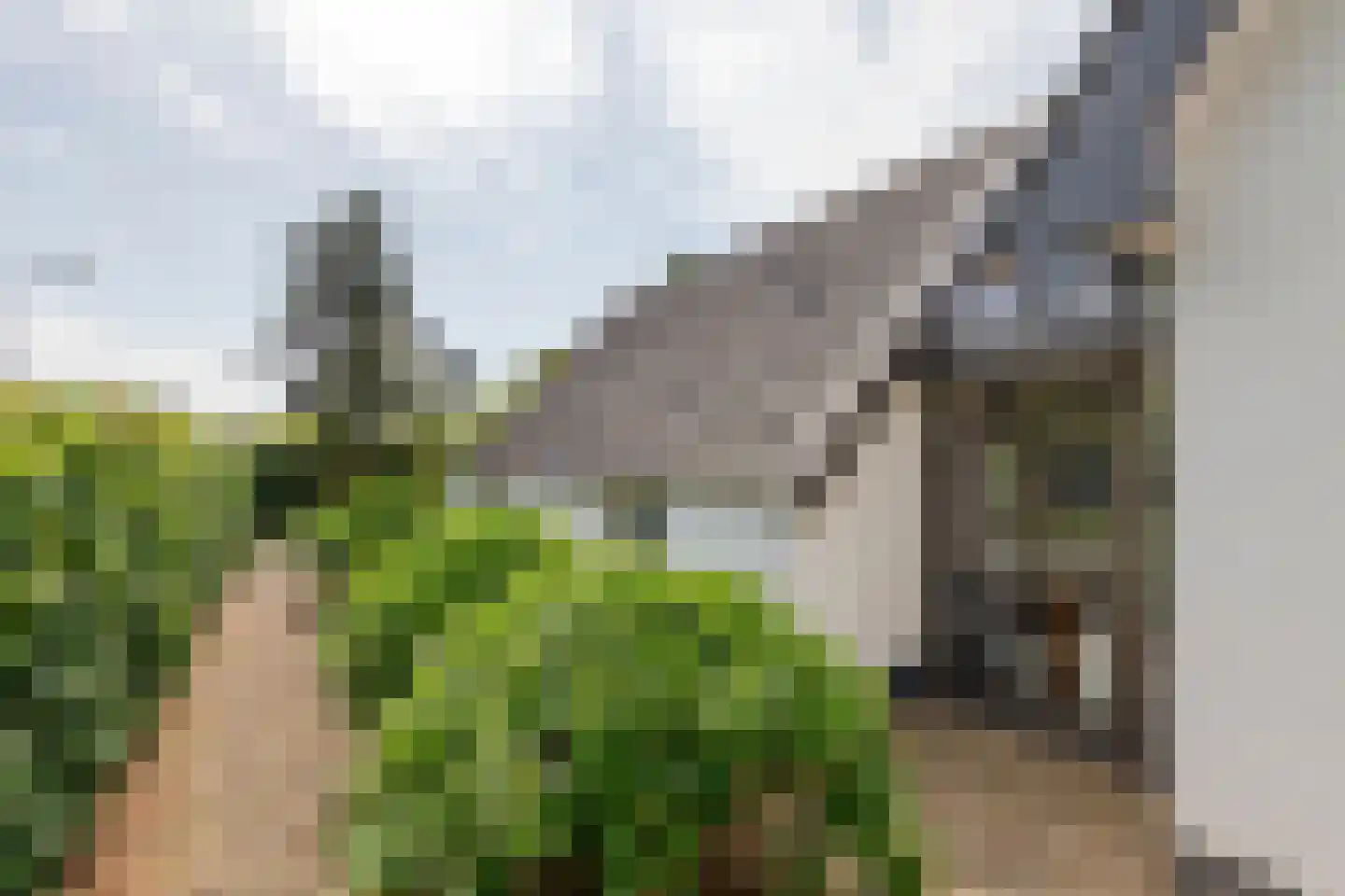 Hoogkana 28 Ingen thumbnail 7