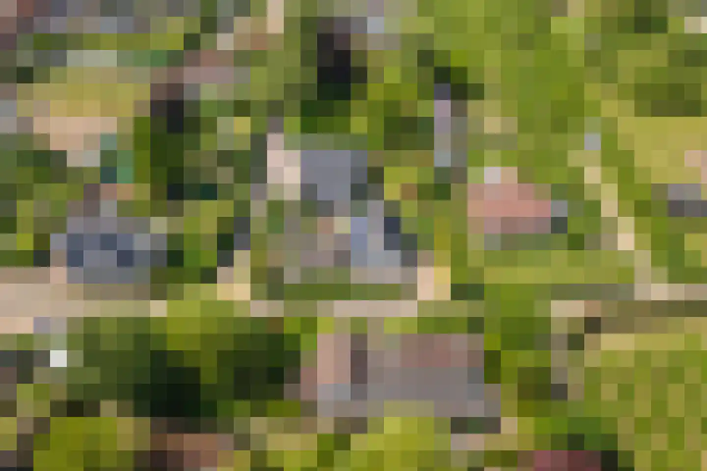 Hoogkana 28 Ingen thumbnail 71