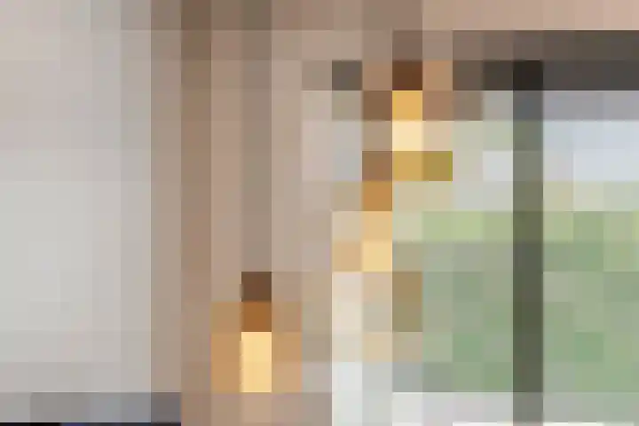 Hoogkana 34 Ingen thumbnail 13