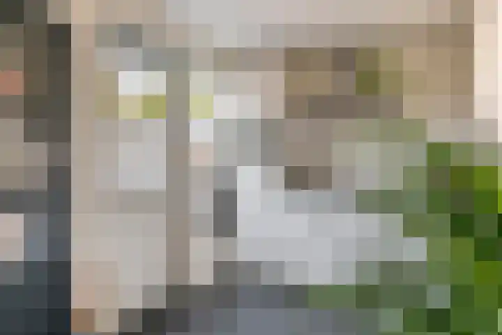 Hoogkana 34 Ingen thumbnail 14