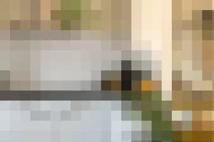 Hoogkana 34 Ingen thumbnail 17