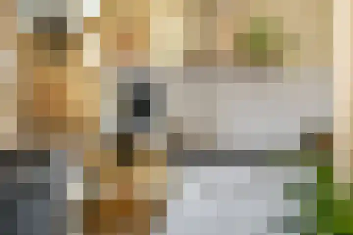 Hoogkana 34 Ingen thumbnail 19