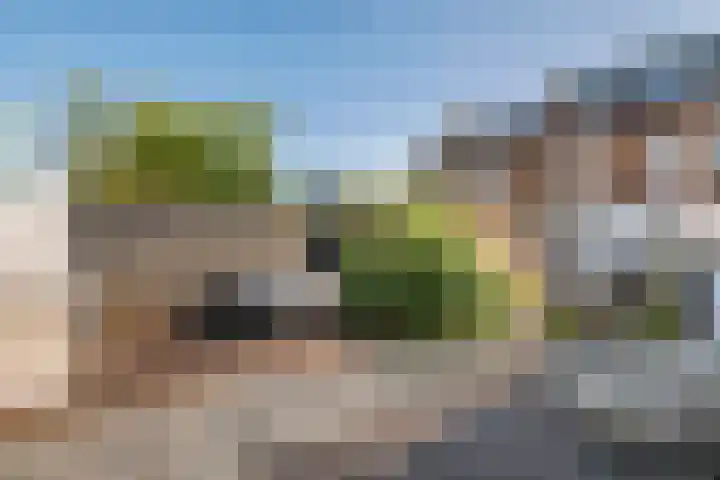 Hoogkana 34 Ingen thumbnail 26