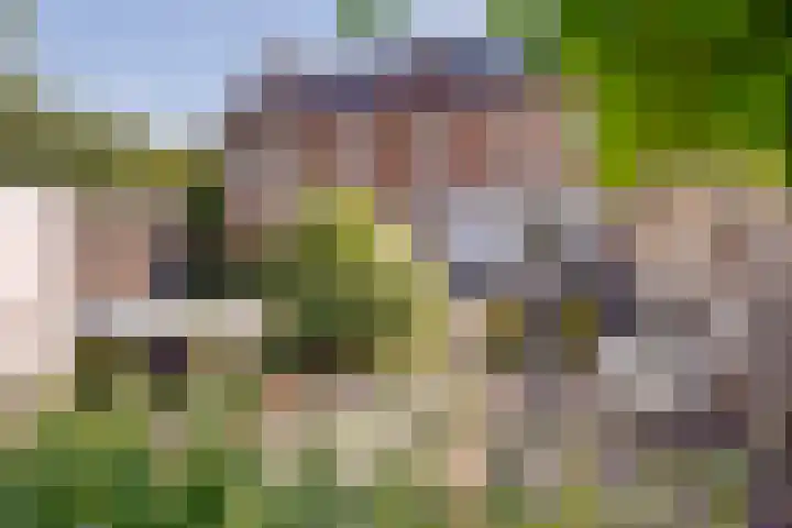 Hoogkana 34 Ingen thumbnail 29
