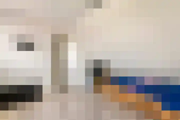Hoogkana 34 Ingen thumbnail 43