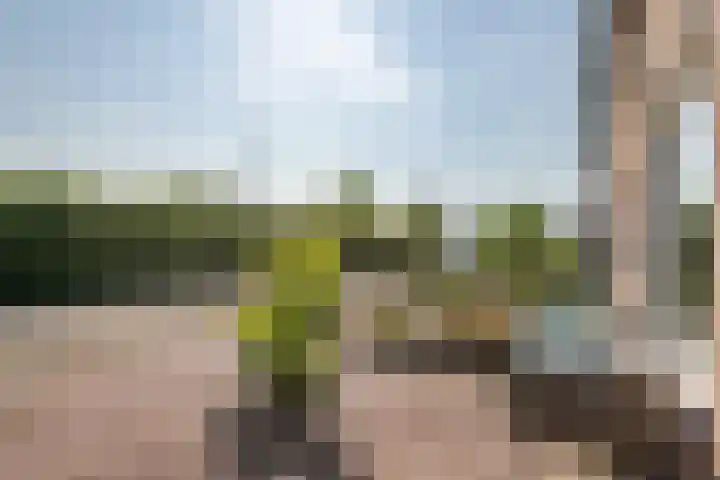 Hoogkana 34 Ingen thumbnail 47