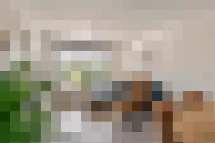 Hoogkana 34 Ingen thumbnail 5