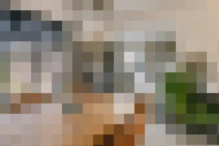 Hoogkana 34 Ingen thumbnail 7