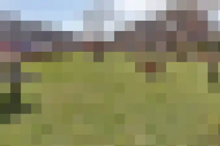 Hoogkar 12 Eersel thumbnail 34