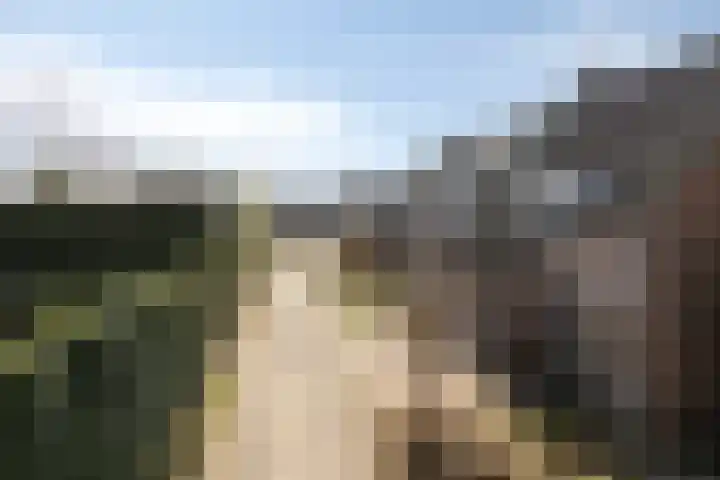 Hoogkar 12 Eersel thumbnail 37