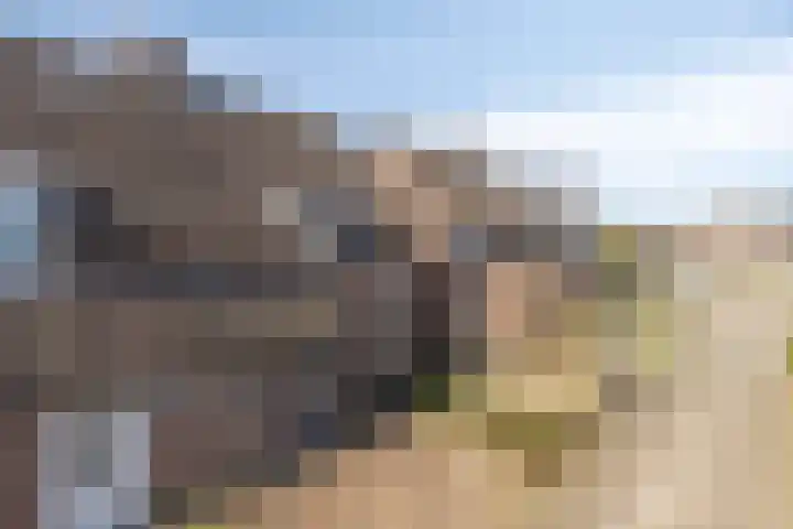 Hoogkar 12 Eersel thumbnail 7