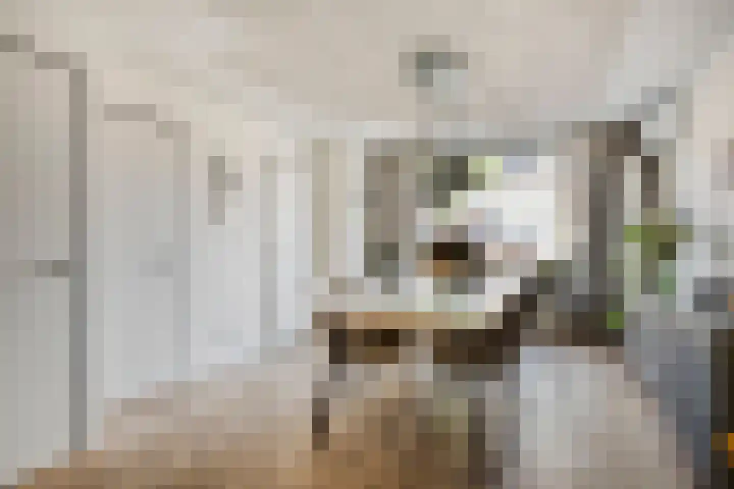 Hoogkarspelstraat 2 Tilburg thumbnail 11