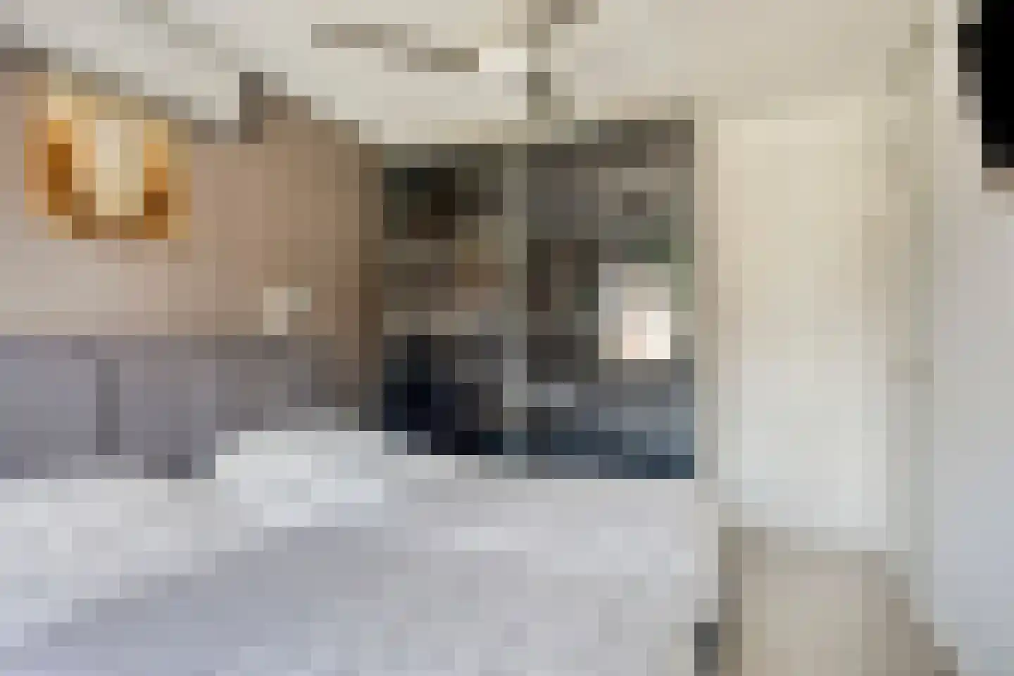 Hoogkarspelstraat 2 Tilburg thumbnail 22