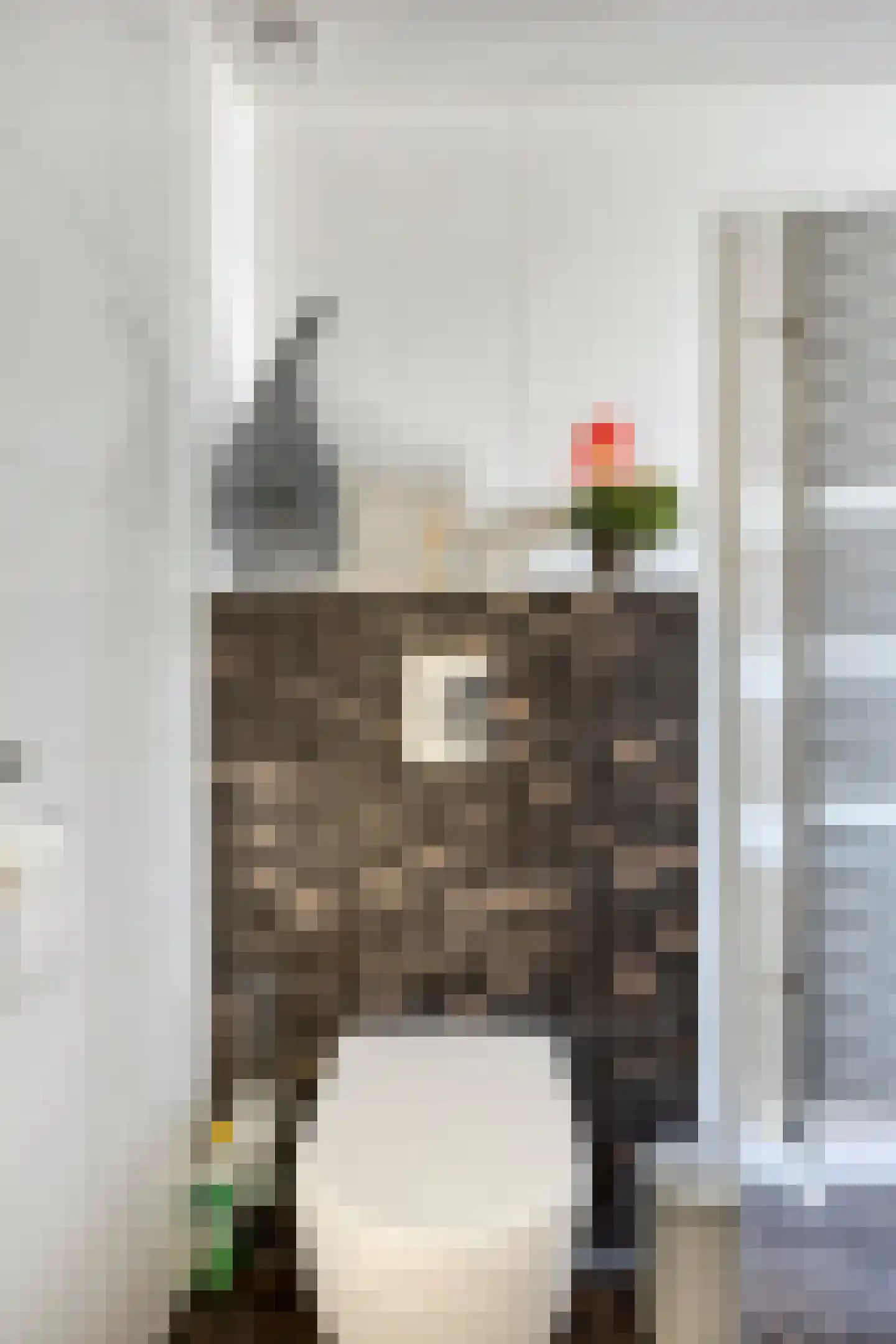 Hoogkarspelstraat 2 Tilburg thumbnail 25