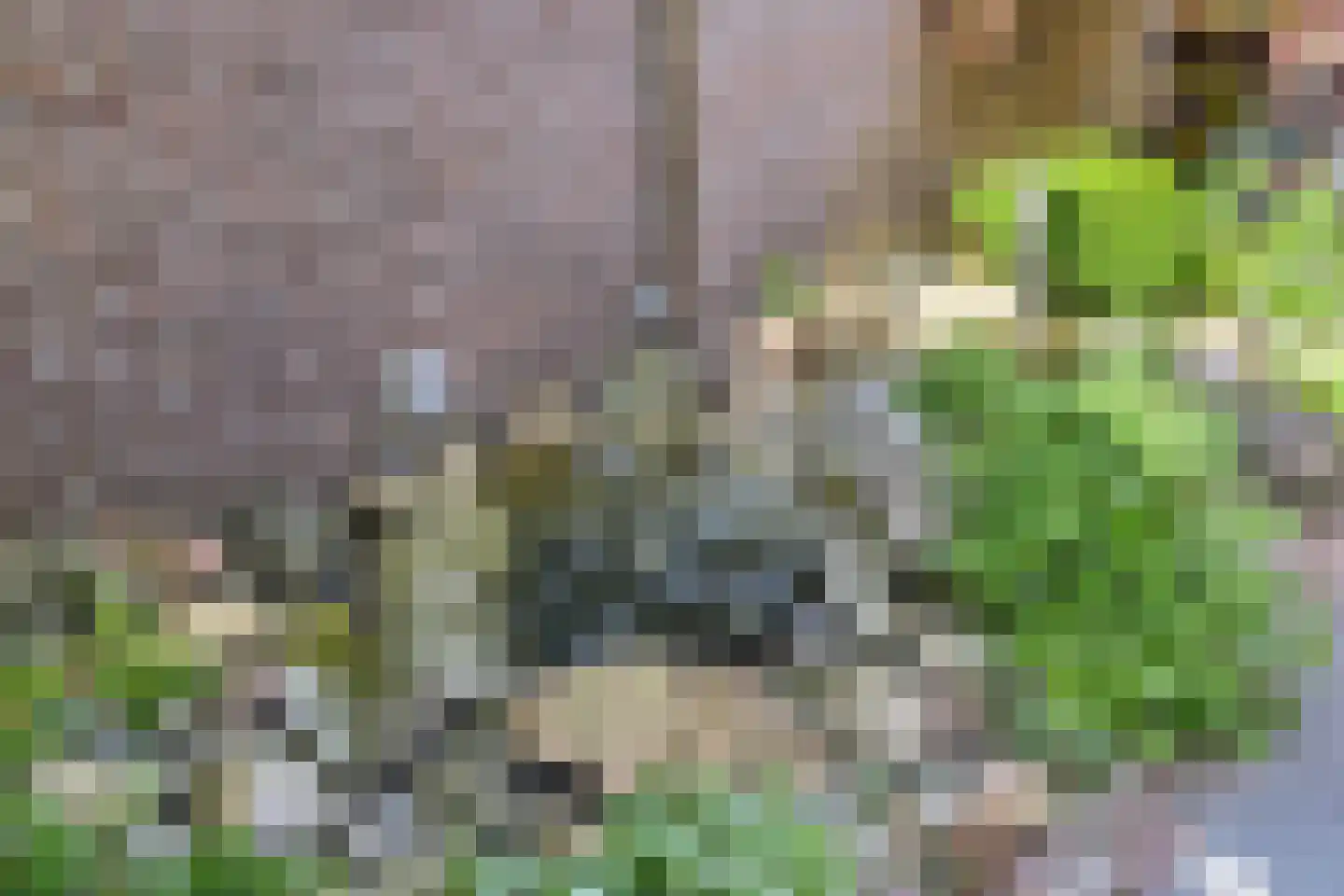 Hoogkarspelstraat 2 Tilburg thumbnail 36