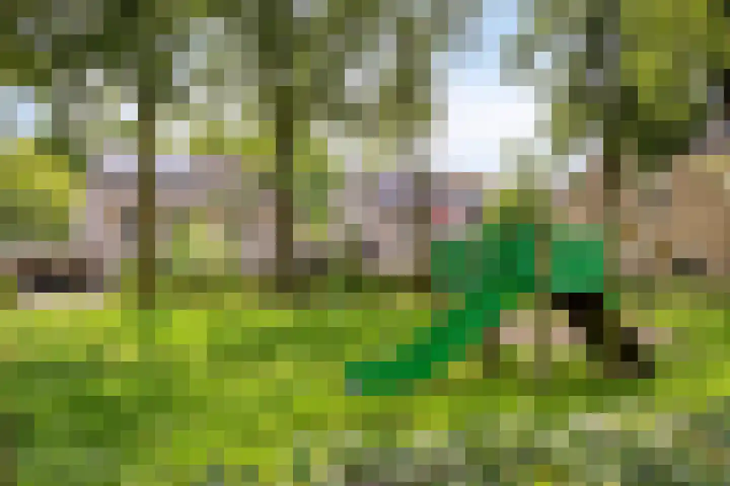 Hoogkarspelstraat 2 Tilburg thumbnail 37