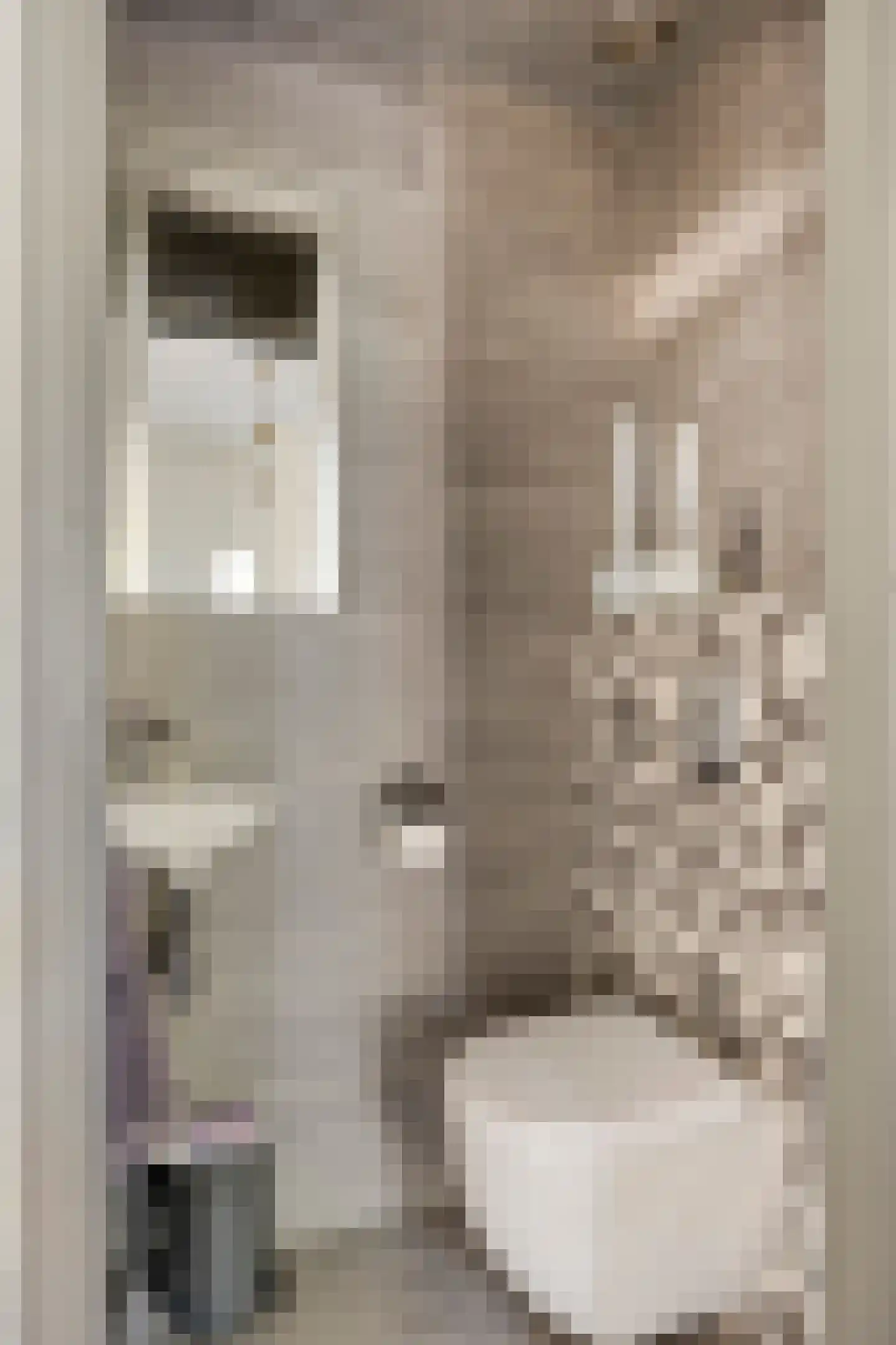 Hoogkarspelstraat 2 Tilburg thumbnail 7