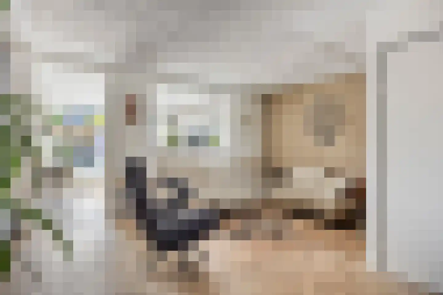 Hoogkarspelstraat 2 Tilburg thumbnail 8