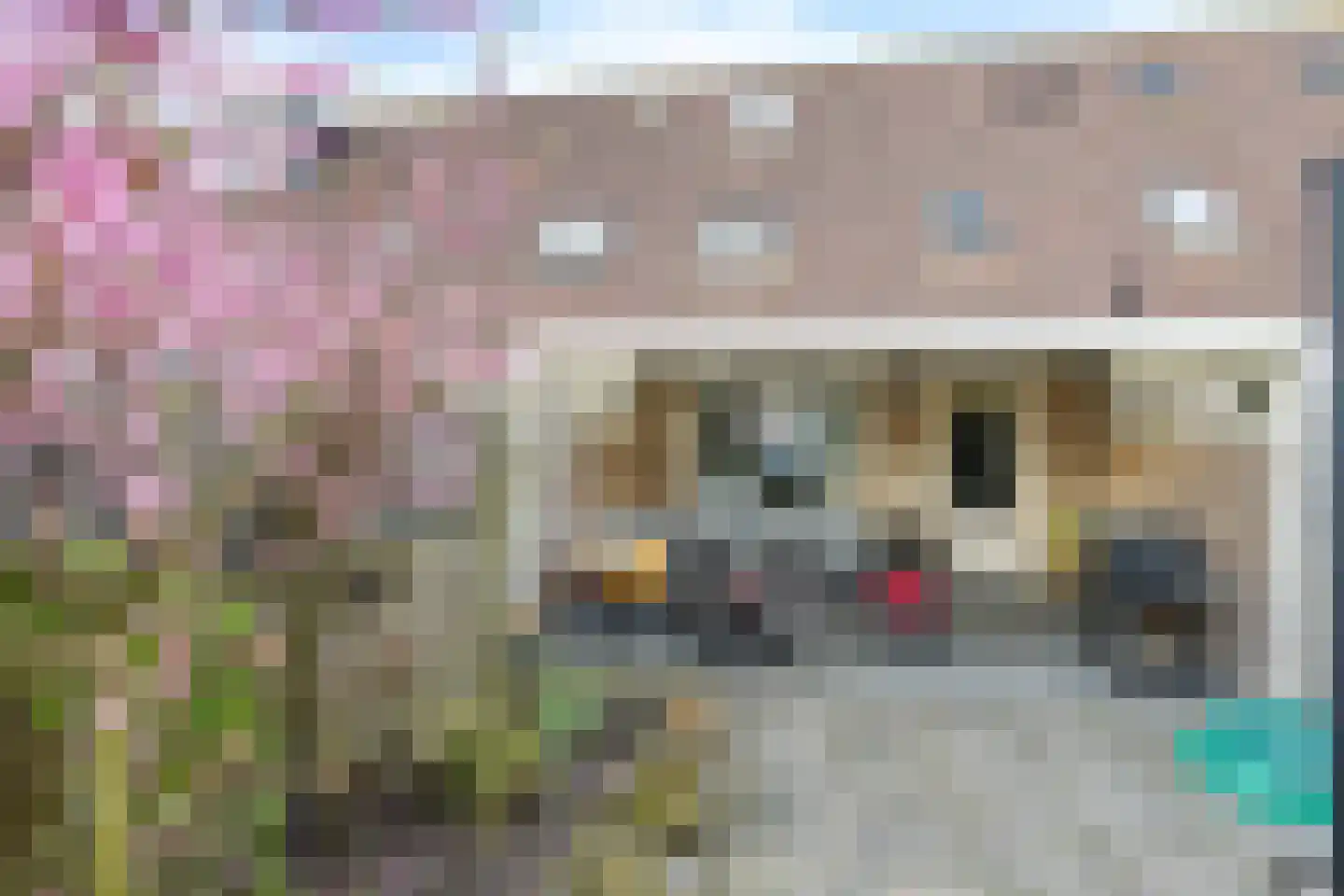Hoogkarspelstraat 56 Tilburg thumbnail 30