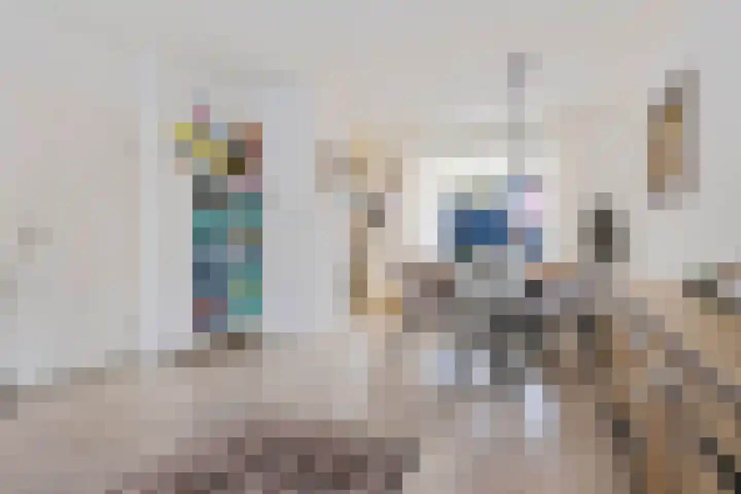 Hoogkarspelstraat 56 Tilburg thumbnail 8