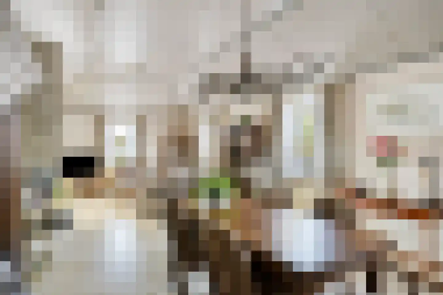 Hoogkoorpassage 12 Boxmeer thumbnail 10