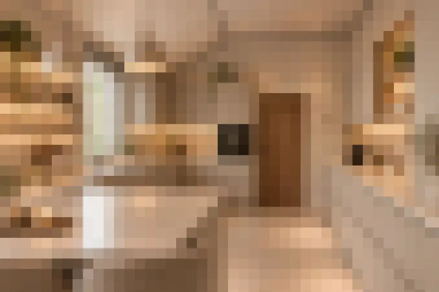 Hoogkoorpassage 12 Boxmeer thumbnail 15