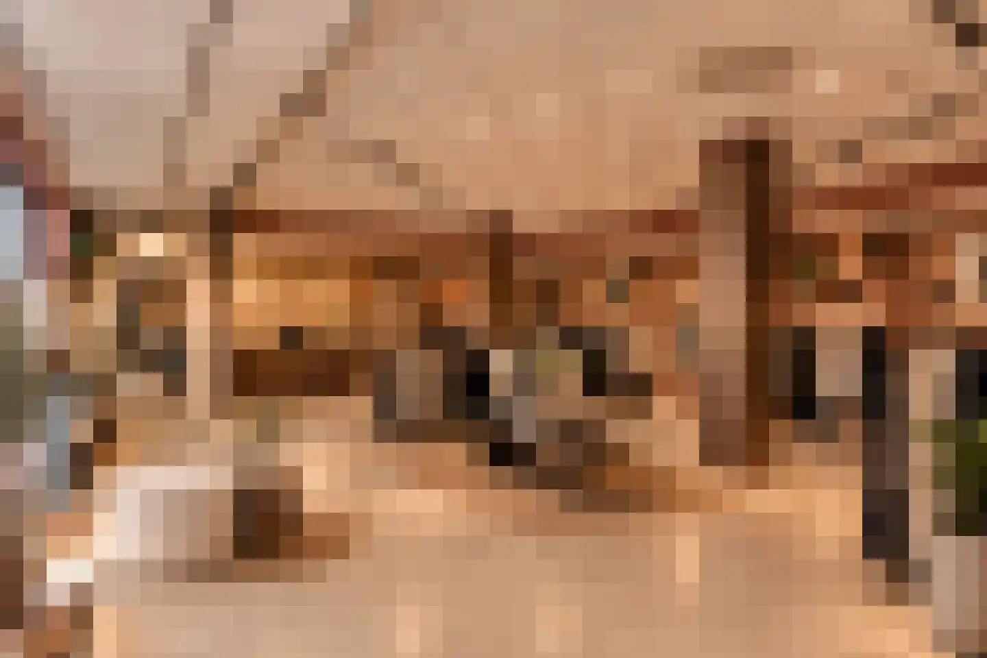 Hoogkoorpassage 12 Boxmeer thumbnail 26