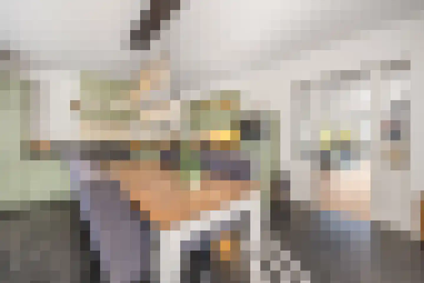 Hoogland 10 Druten thumbnail 11