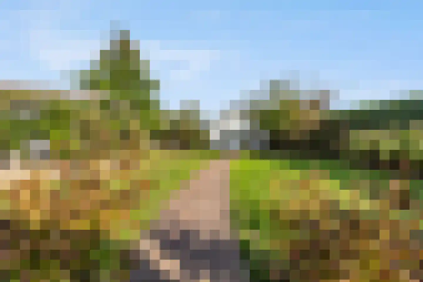Hoogland 10 Druten thumbnail 45