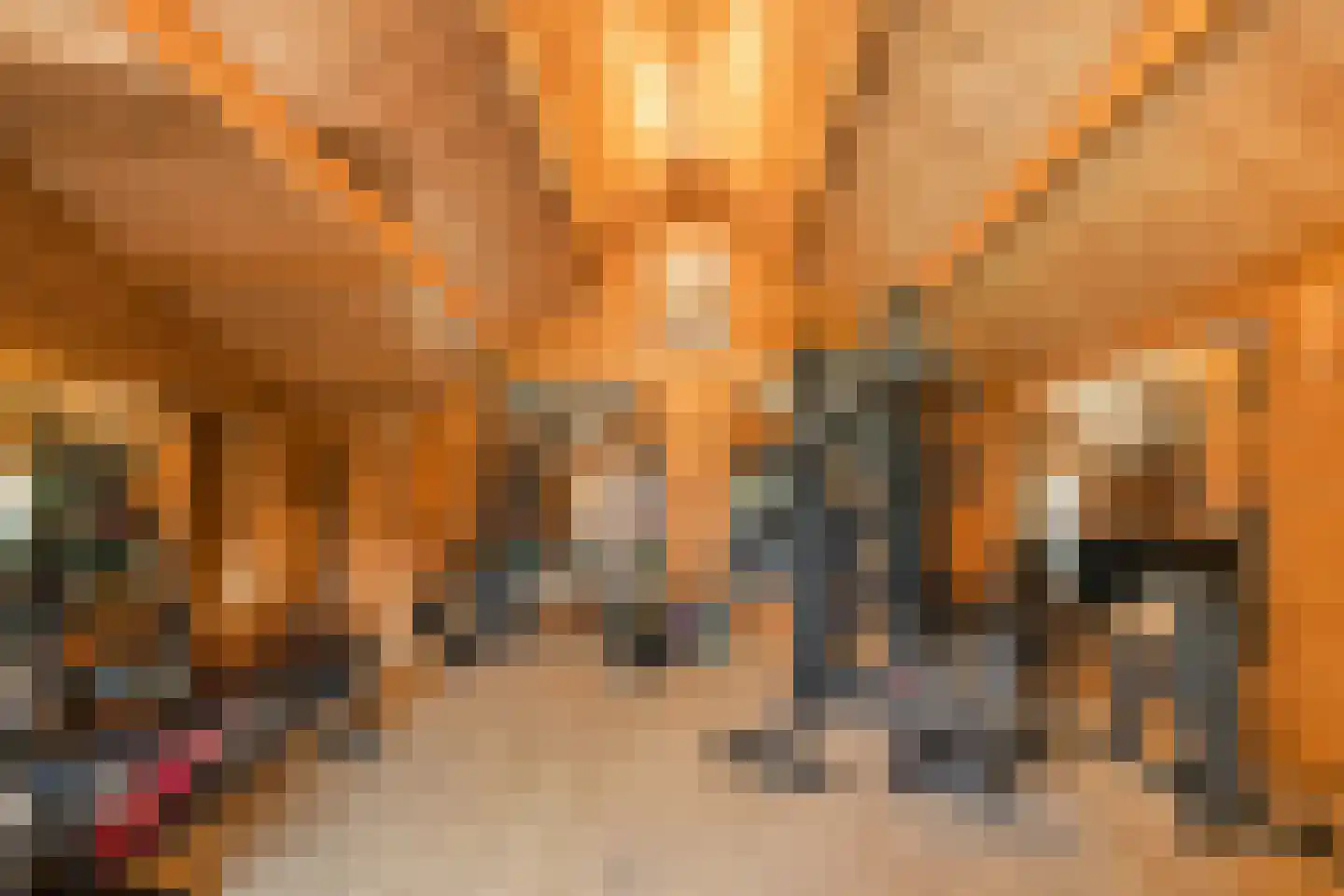 Hoogland 10 Druten thumbnail 47