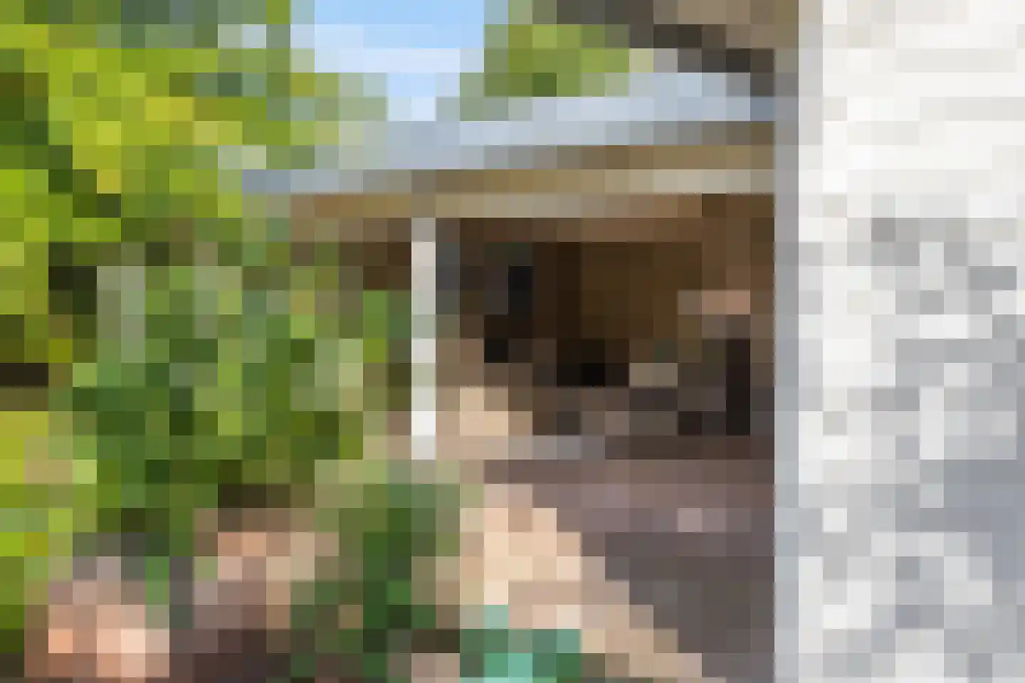 Hoogland 10 Druten thumbnail 50