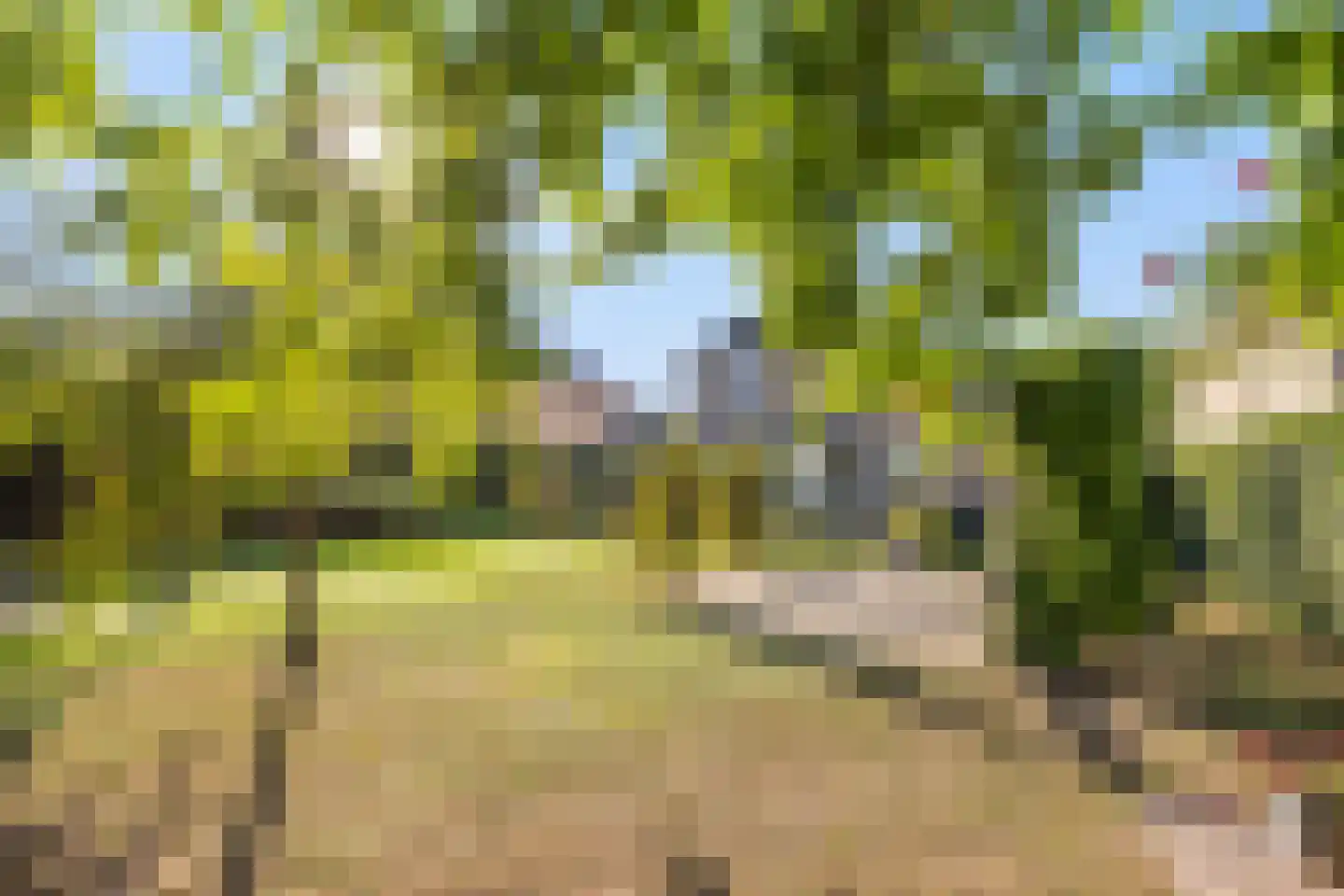 Hoogland 10 Druten thumbnail 58