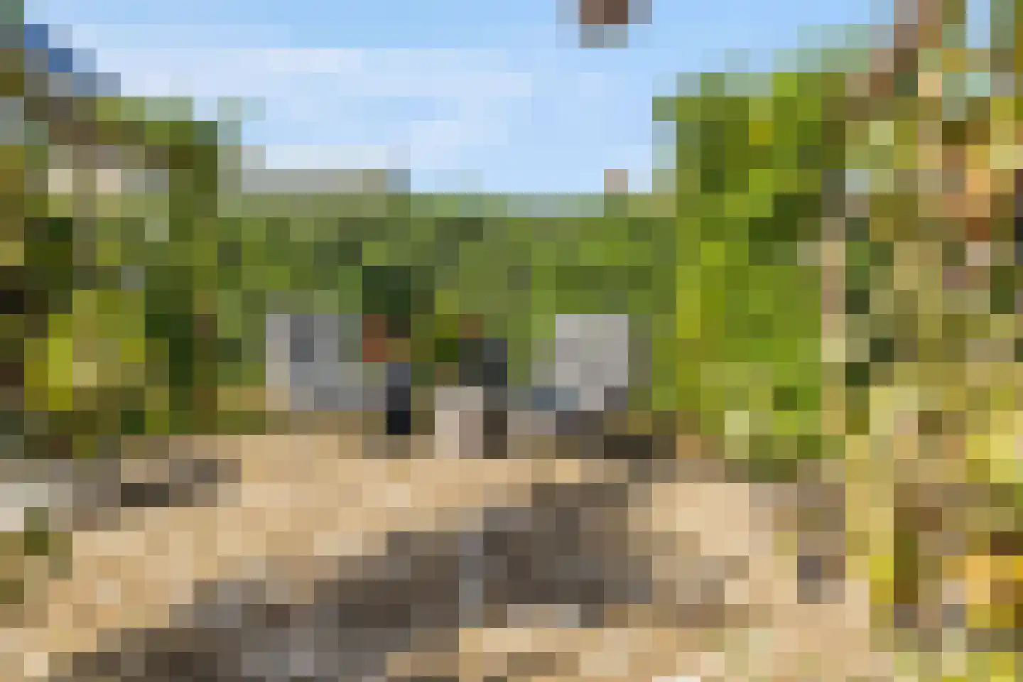 Hoogland 10 Druten thumbnail 59