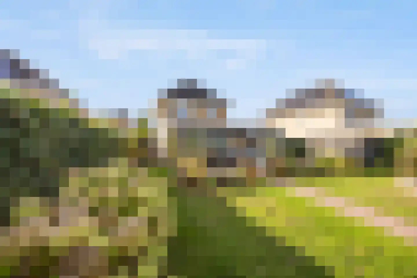 Hoogland 10 Druten thumbnail 60