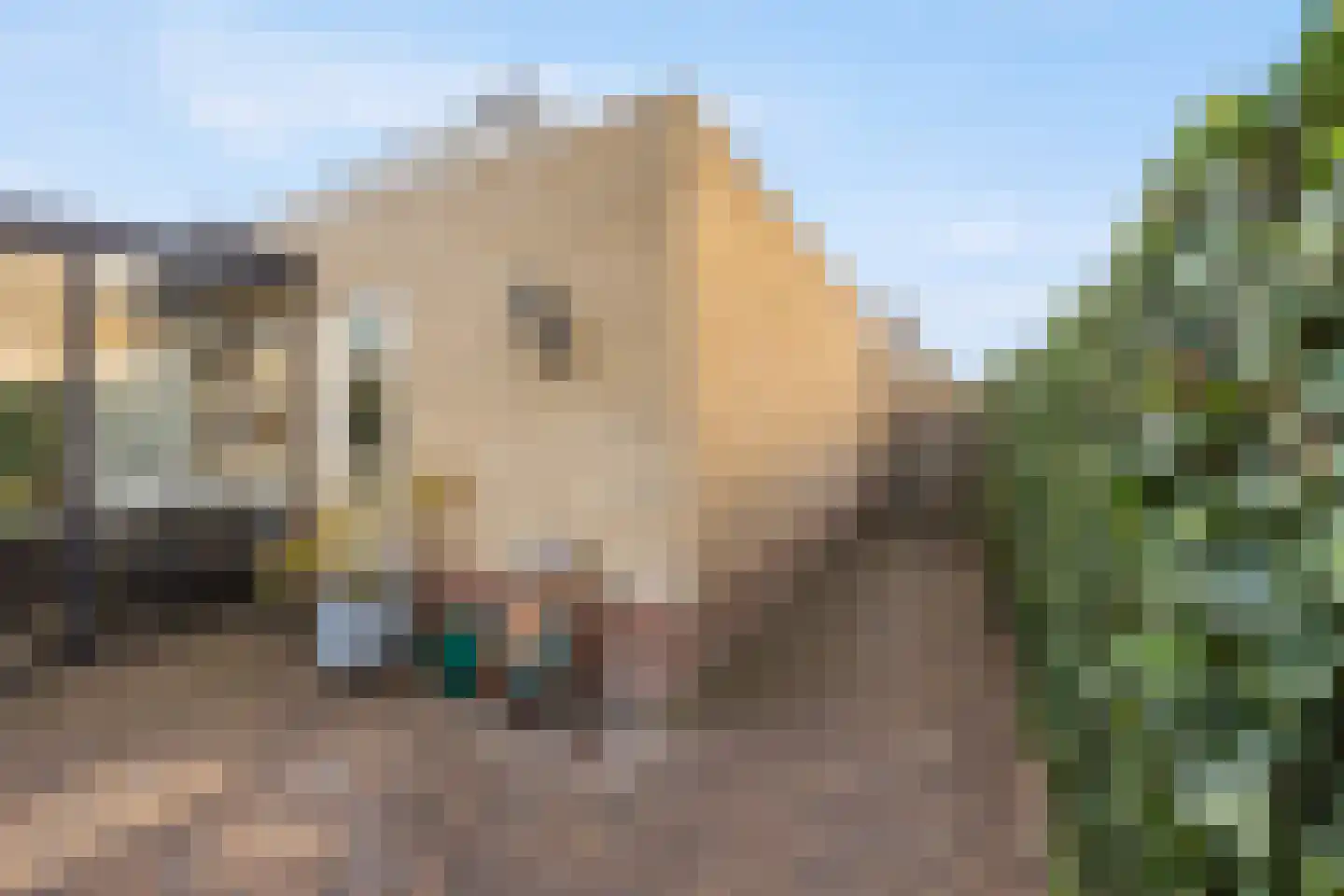 Hoogland 10 Druten thumbnail 63