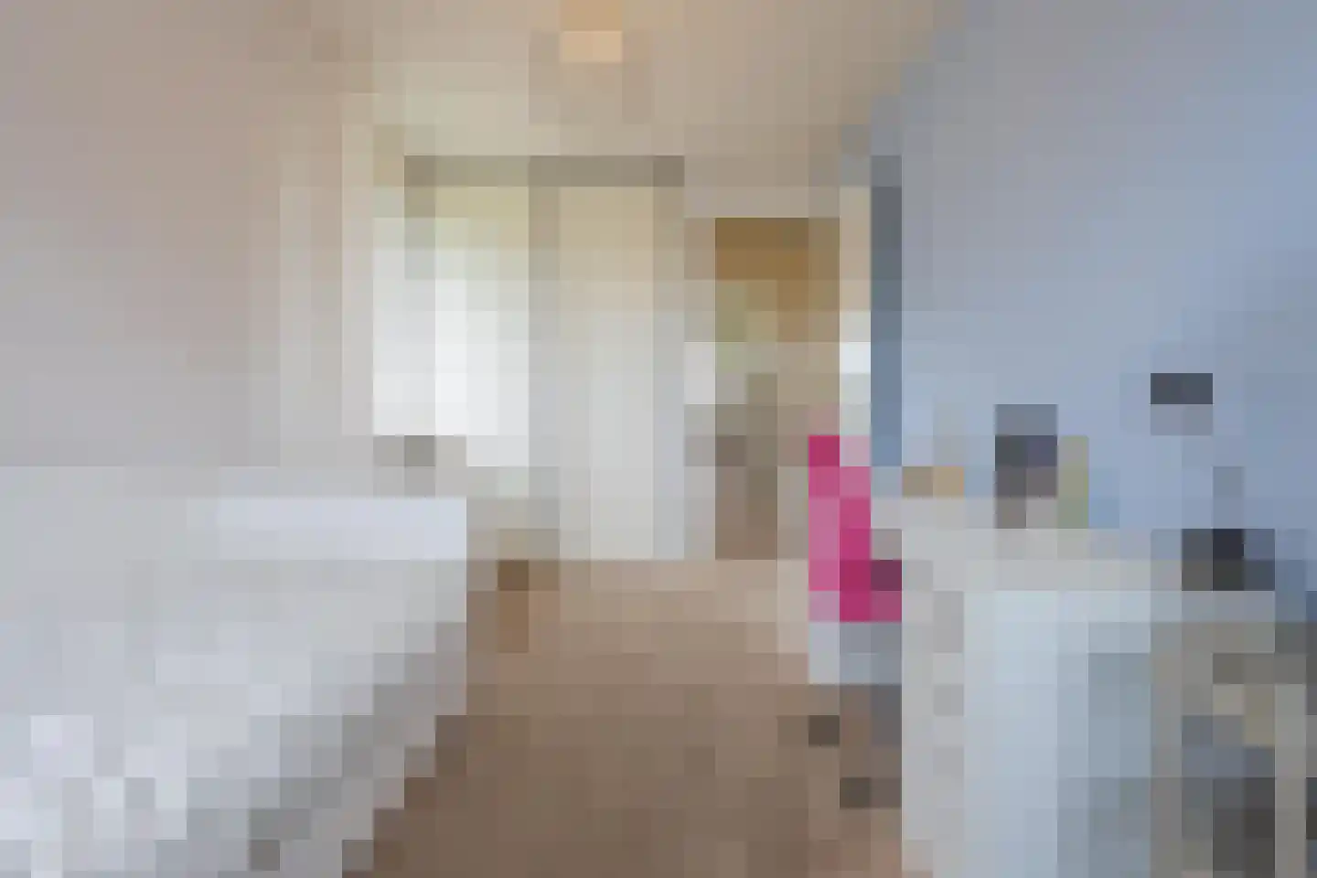 Hoogland 12 Druten thumbnail 49