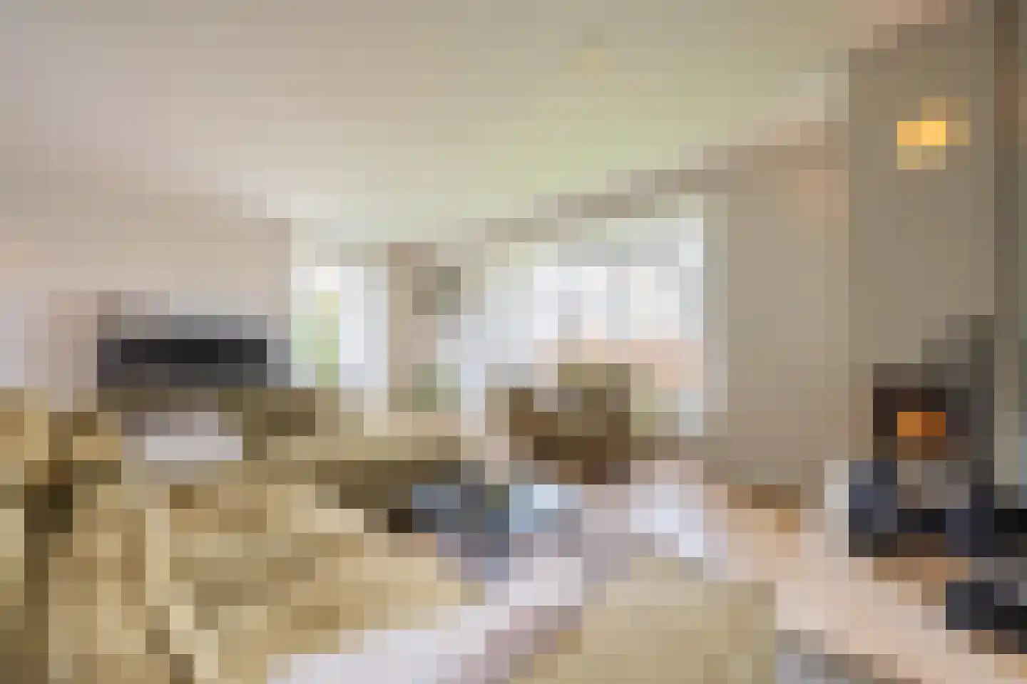 Hoogland 12 Druten thumbnail 5