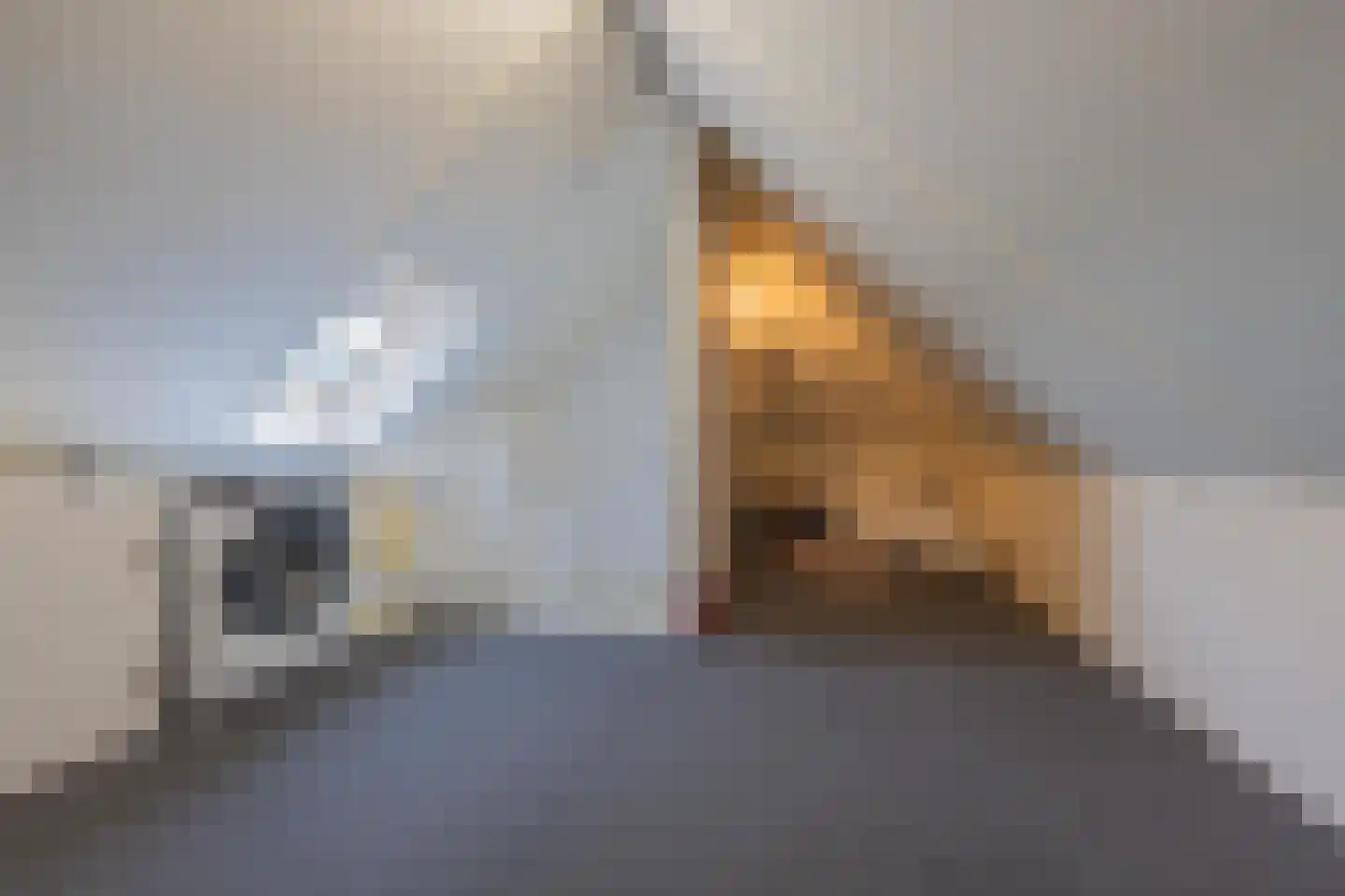 Hoogland 12 Druten thumbnail 65