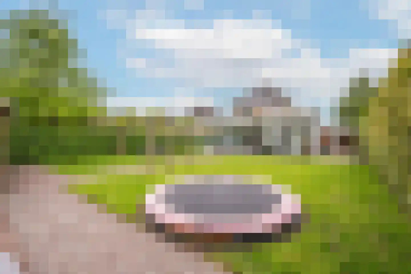 Hoogland 12 Druten thumbnail 74