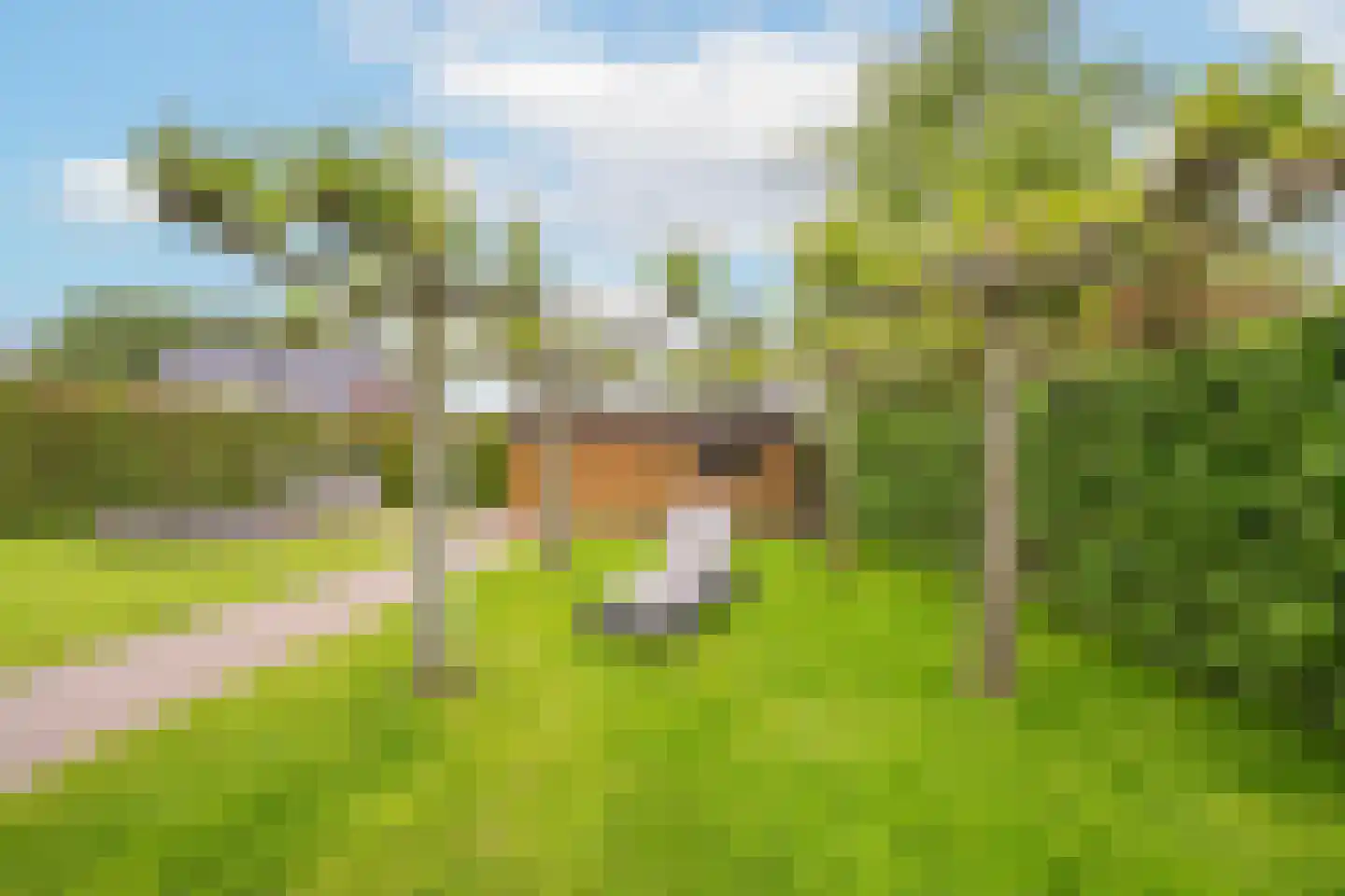 Hoogland 12 Druten thumbnail 75
