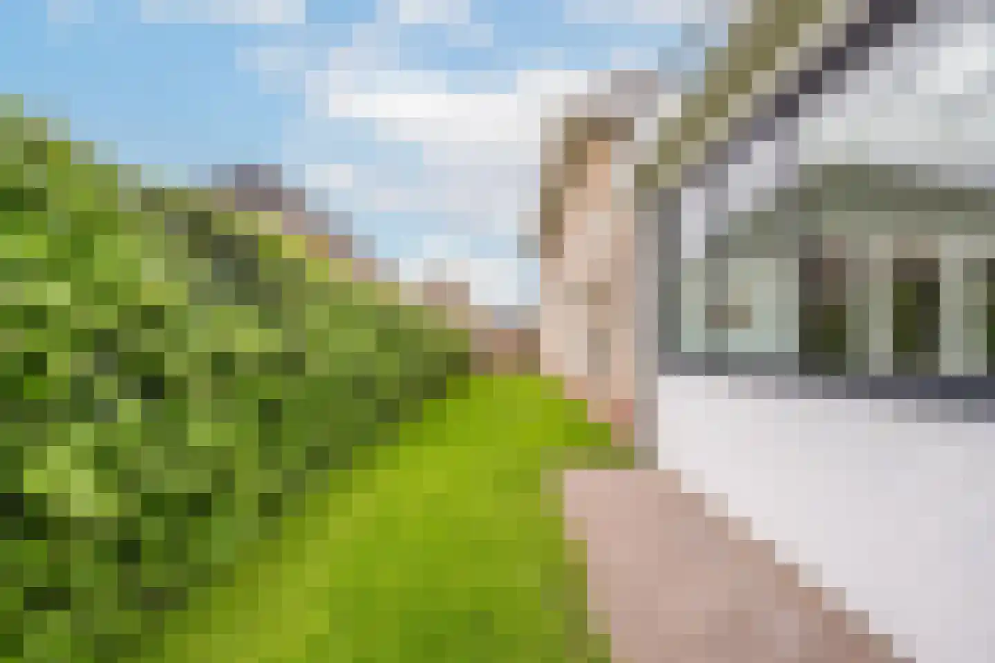 Hoogland 12 Druten thumbnail 76