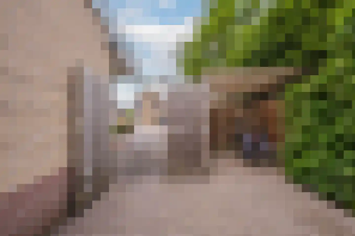 Hoogland 12 Druten thumbnail 81