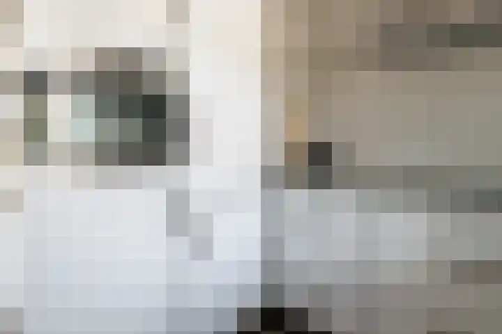 Hoogland 21 Vriezenveen thumbnail 11