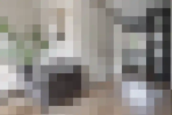 Hoogland 21 Vriezenveen thumbnail 12