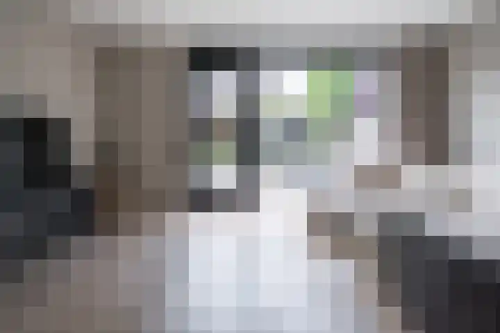 Hoogland 21 Vriezenveen thumbnail 13