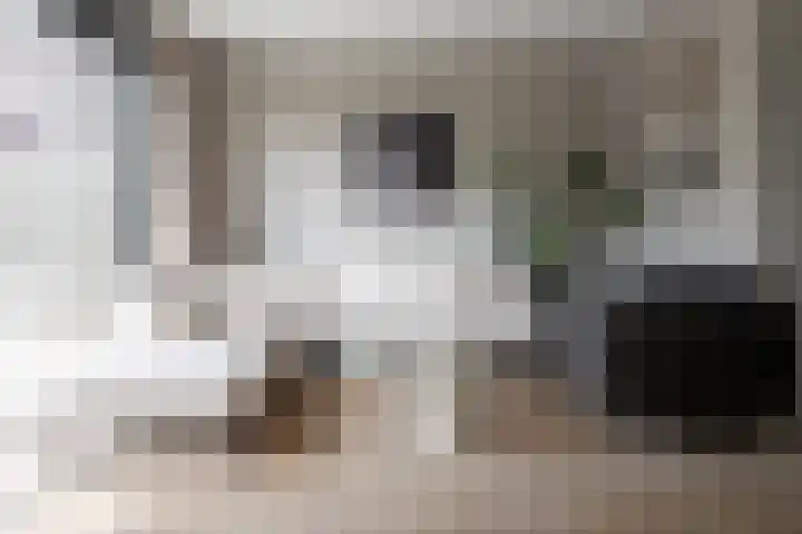 Hoogland 21 Vriezenveen thumbnail 14