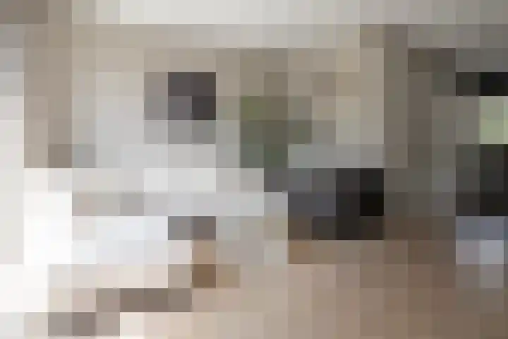 Hoogland 21 Vriezenveen thumbnail 16