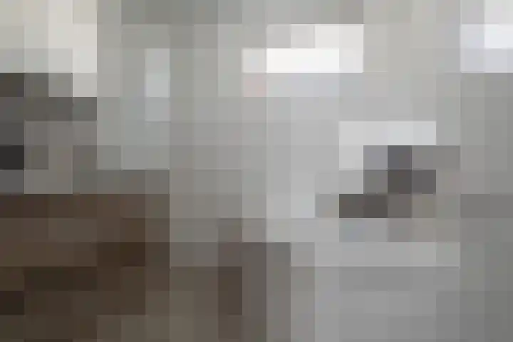 Hoogland 21 Vriezenveen thumbnail 17