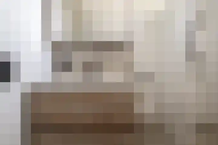 Hoogland 21 Vriezenveen thumbnail 18